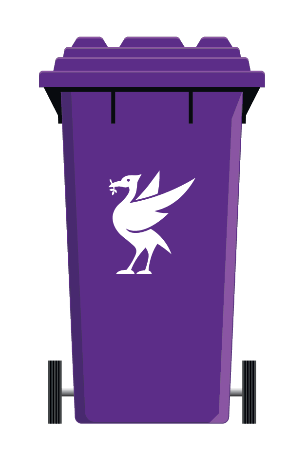 Purple Bin